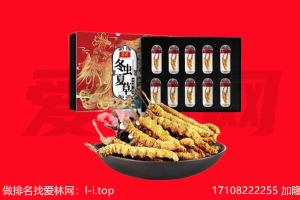洛阳孟津县回收虫草.jpg